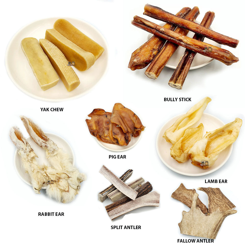 What kind of chew is best for my dog?