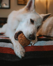 Load image into Gallery viewer, Coconut Ball (Big Little Paws Singapore)