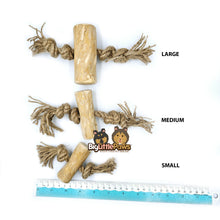 Load image into Gallery viewer, Coffee Wood with Rope Chew Toy (Big Little Paws Singapore)
