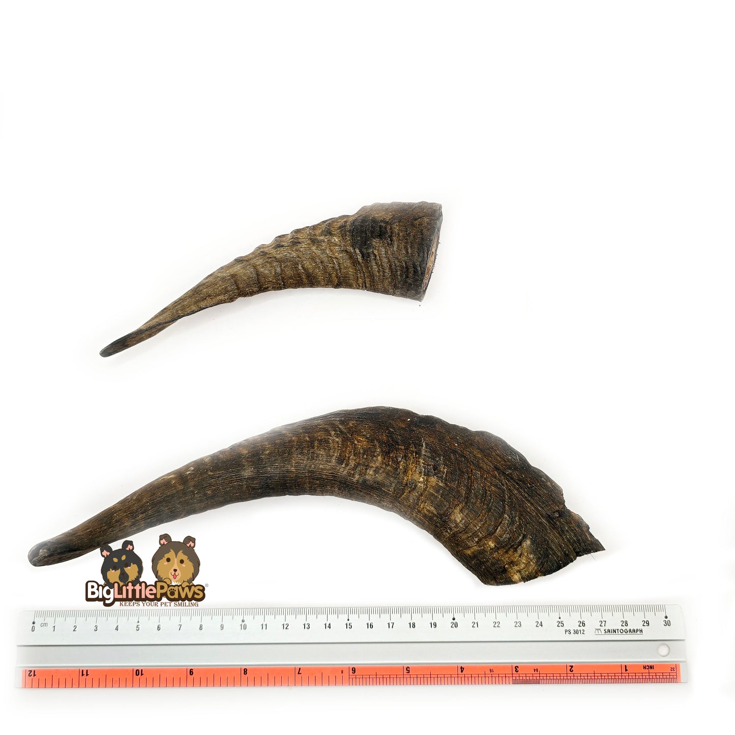 Goat Horn with Marrow (Big Little Paws Singapore Dog Treats)