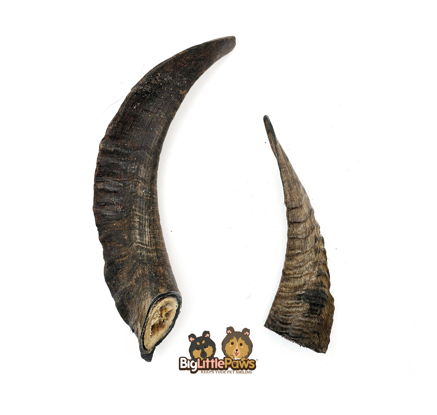 Goat Horn with Marrow (Big Little Paws Singapore Dog Treats)