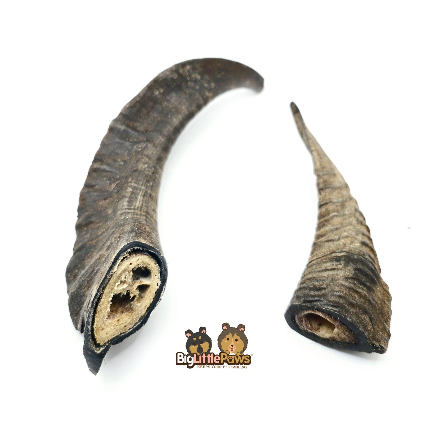 Goat Horn with Marrow (Big Little Paws Singapore Dog Treats)