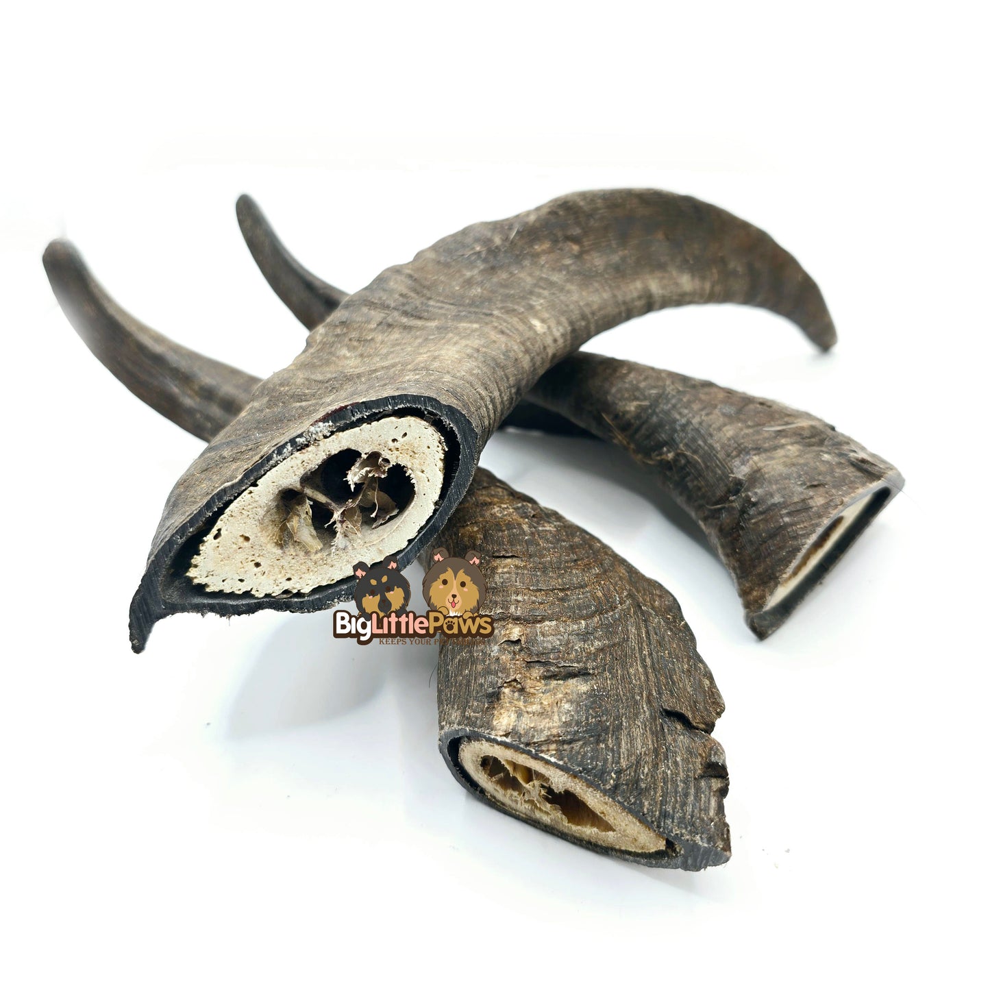 Goat Horn with Marrow (Big Little Paws Singapore Dog Treats)