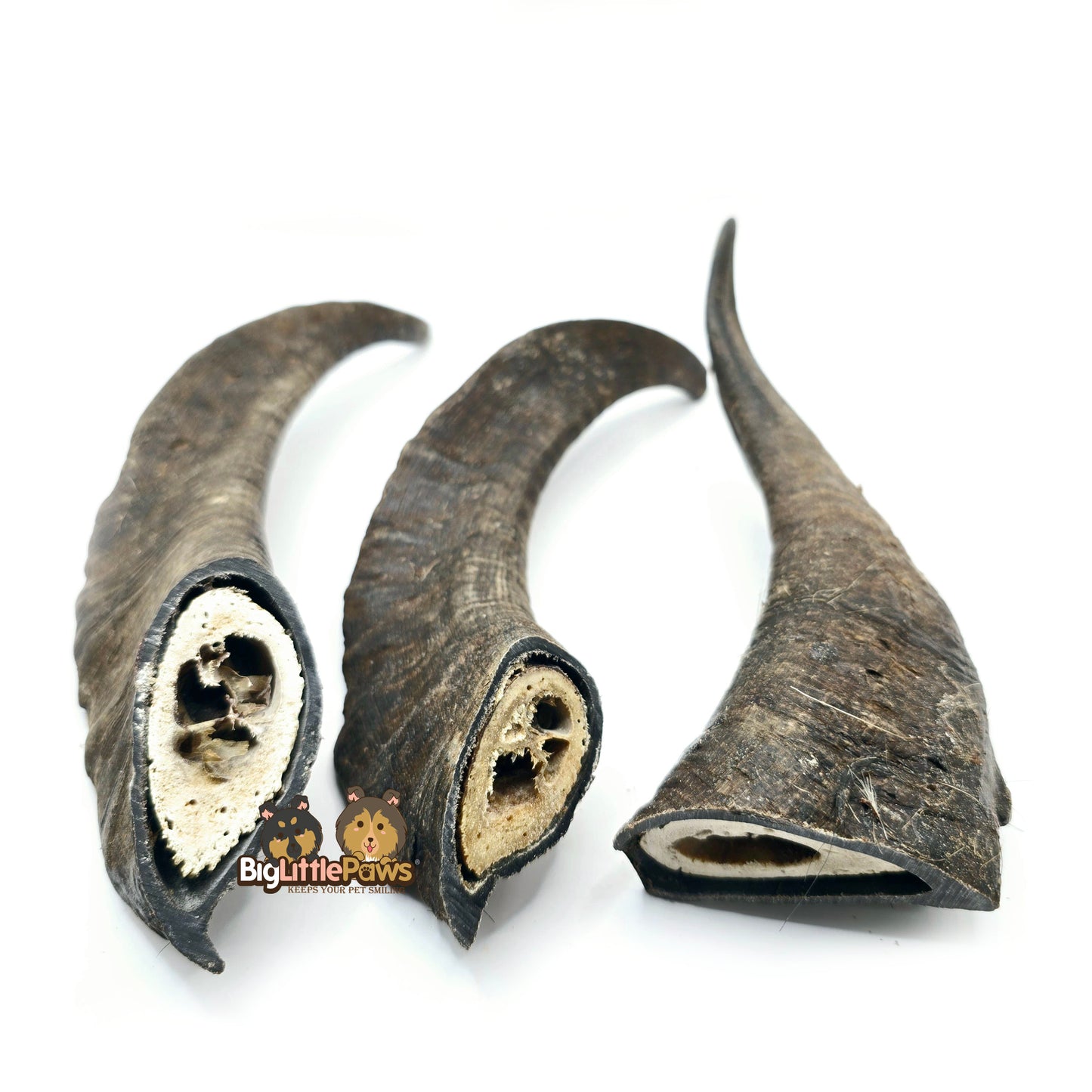 Goat Horn with Marrow (Big Little Paws Singapore Dog Treats)