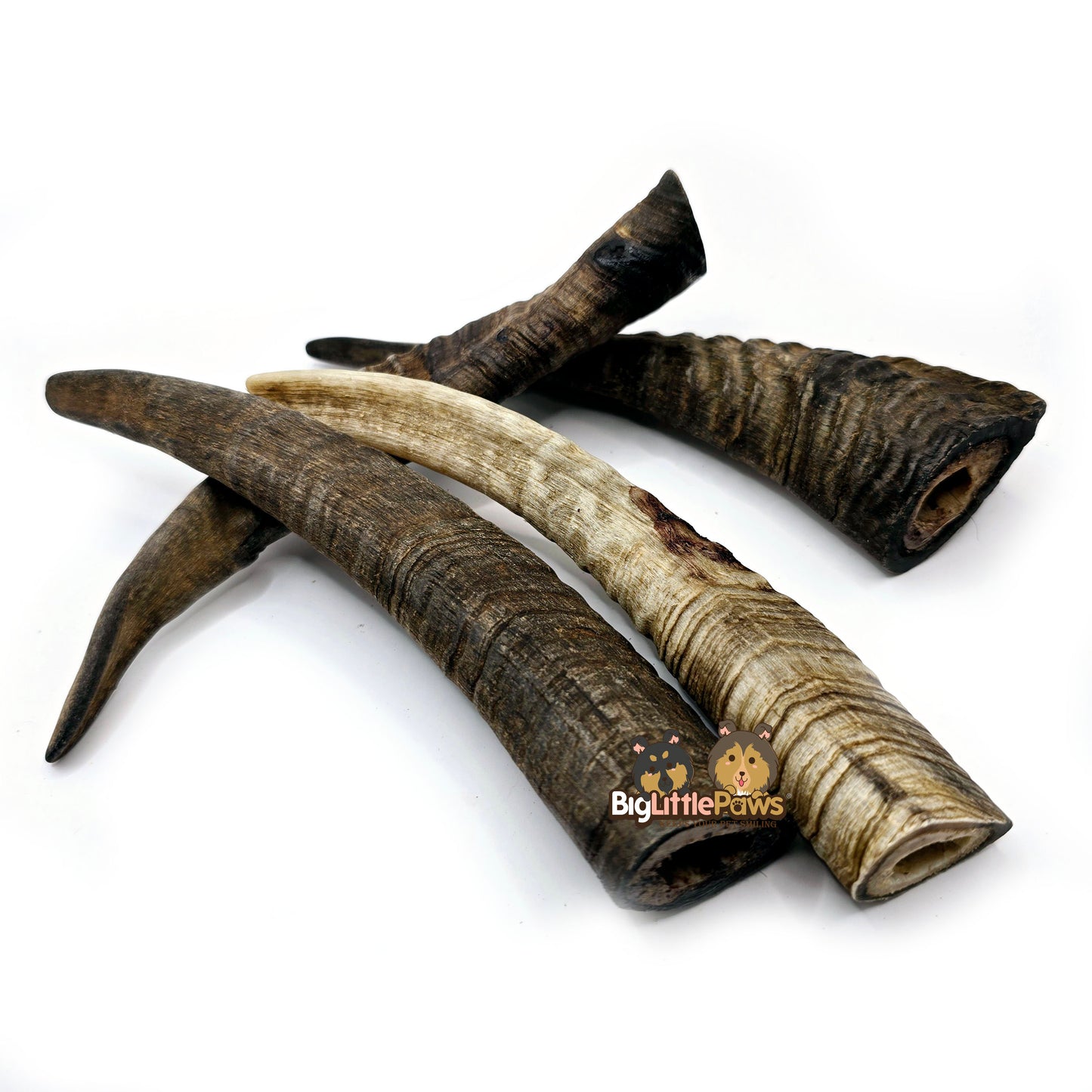 Goat Horn with Marrow (Big Little Paws Singapore Dog Treats)