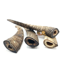 Load image into Gallery viewer, Goat Horn with Marrow (Big Little Paws Singapore Dog Treats)