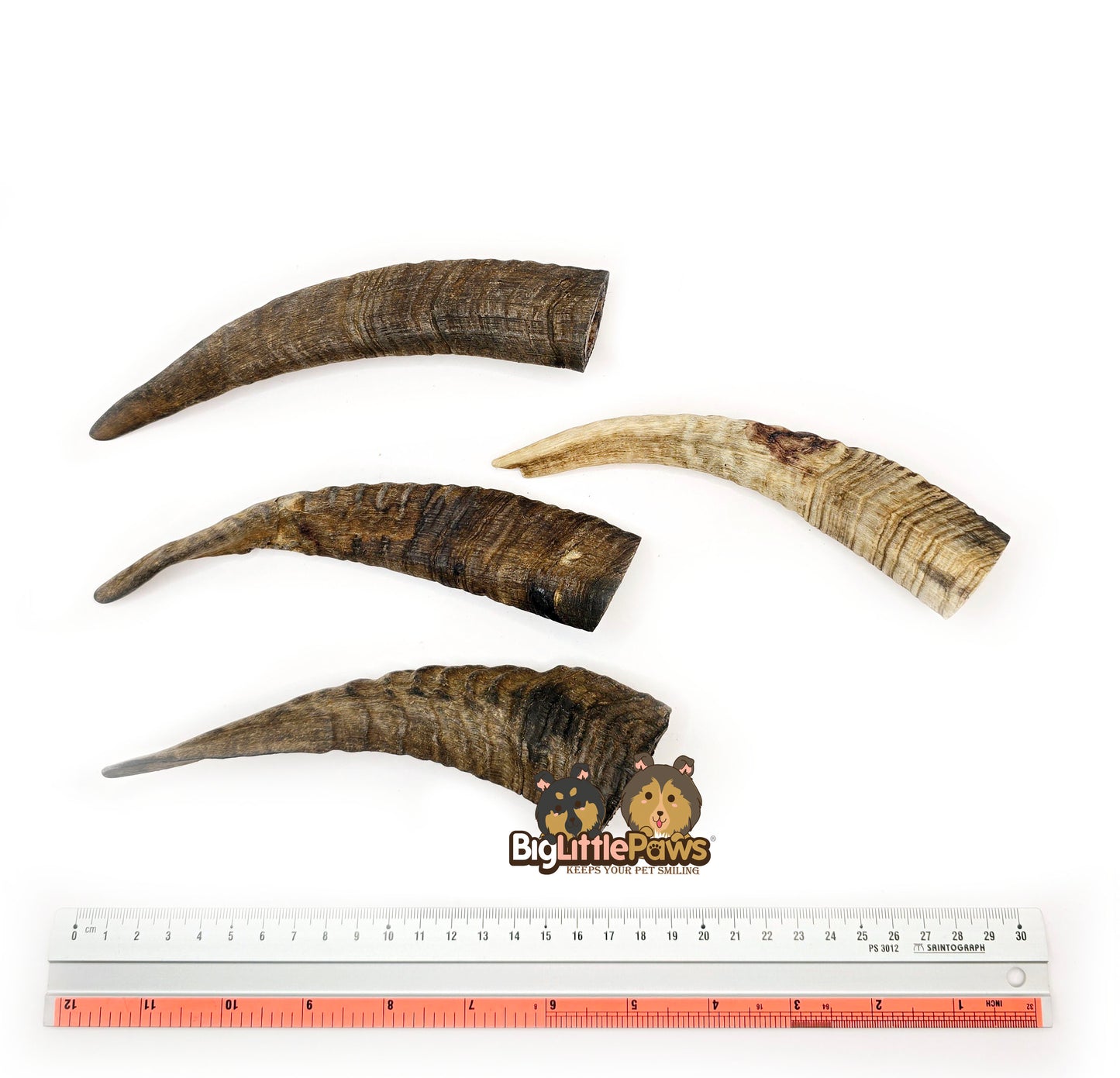 Goat Horn with Marrow (Big Little Paws Singapore Dog Treats)