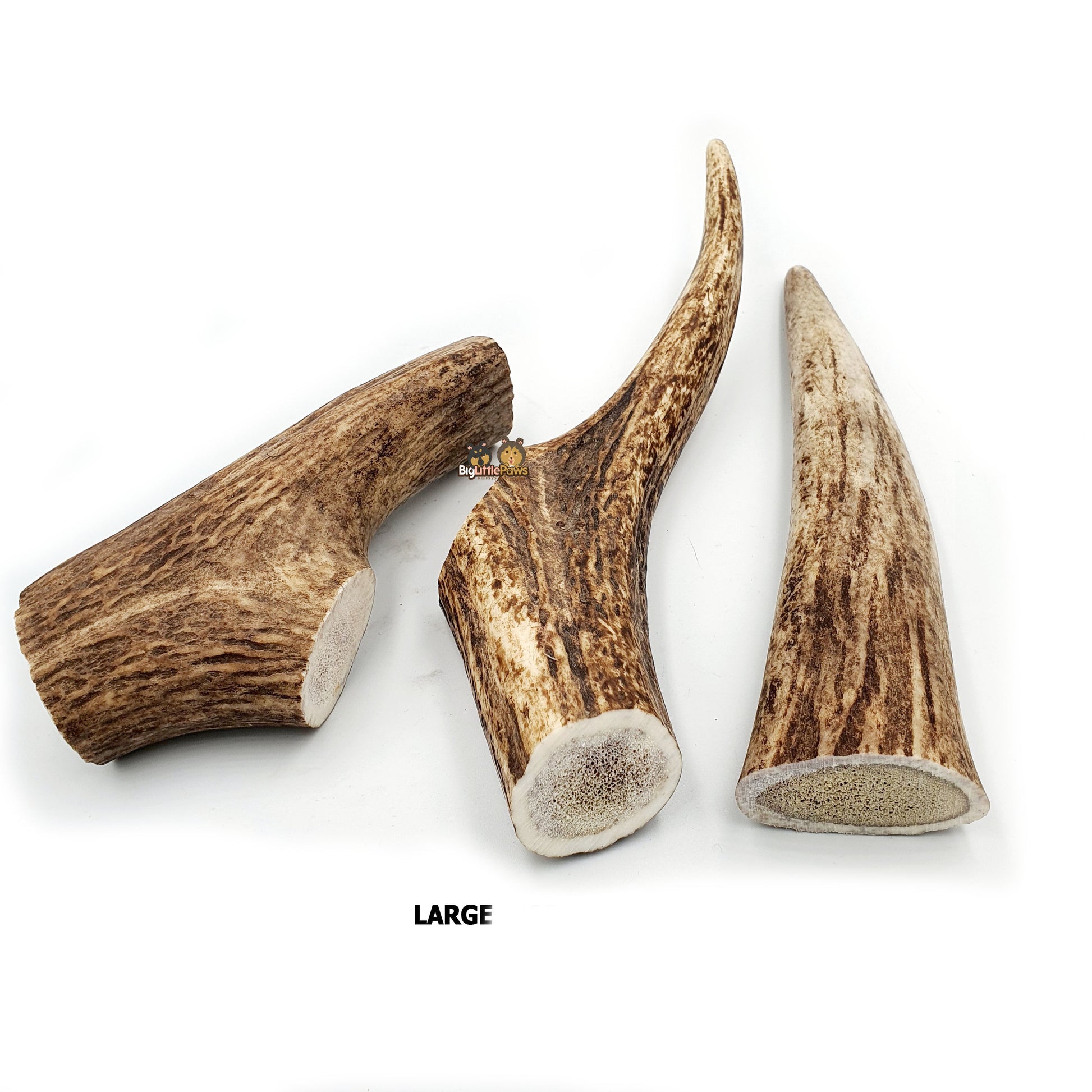 Red Deer Antler Dog Chew- Big Little Paws Singapore