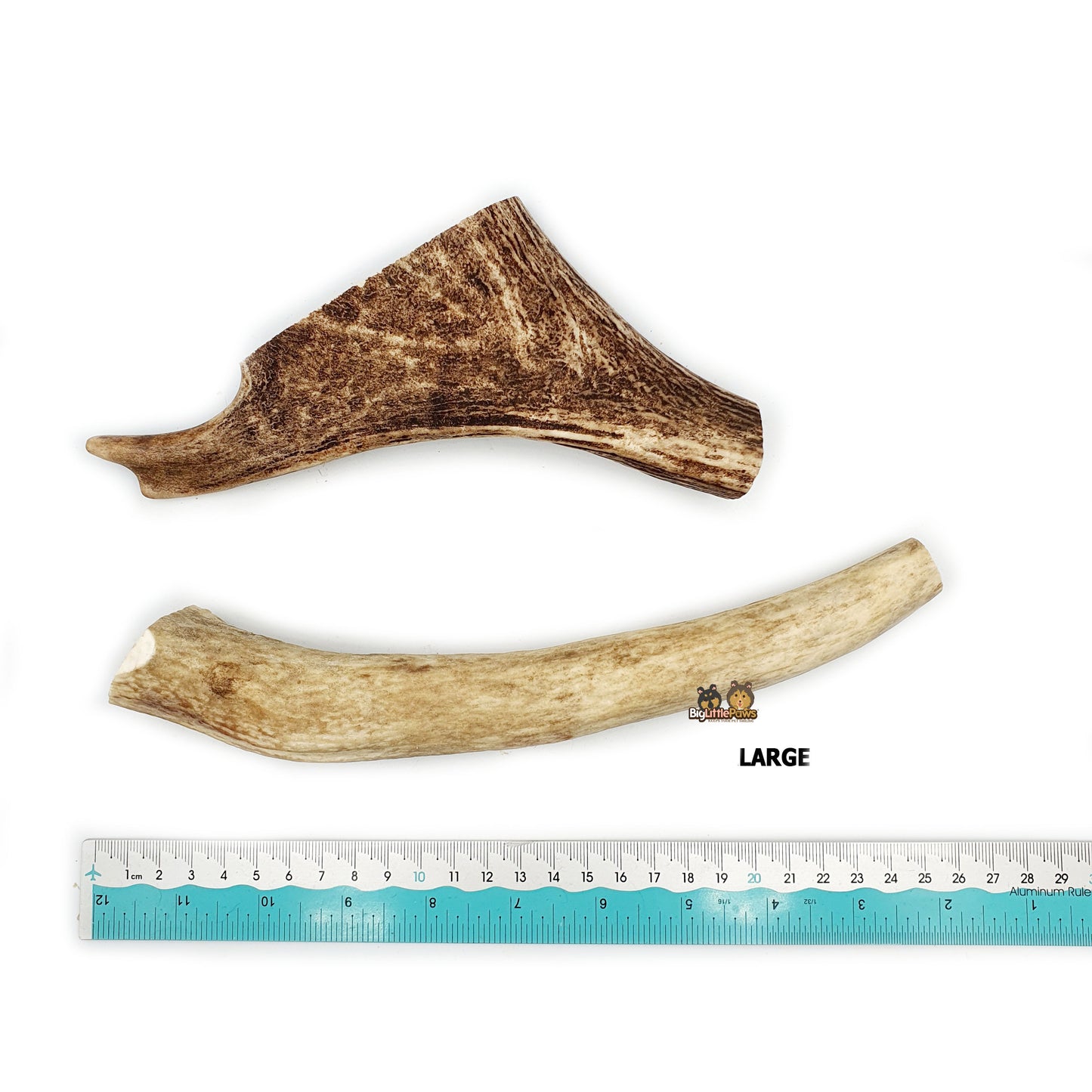 Red Deer Antler Dog Chew- Big Little Paws Singapore