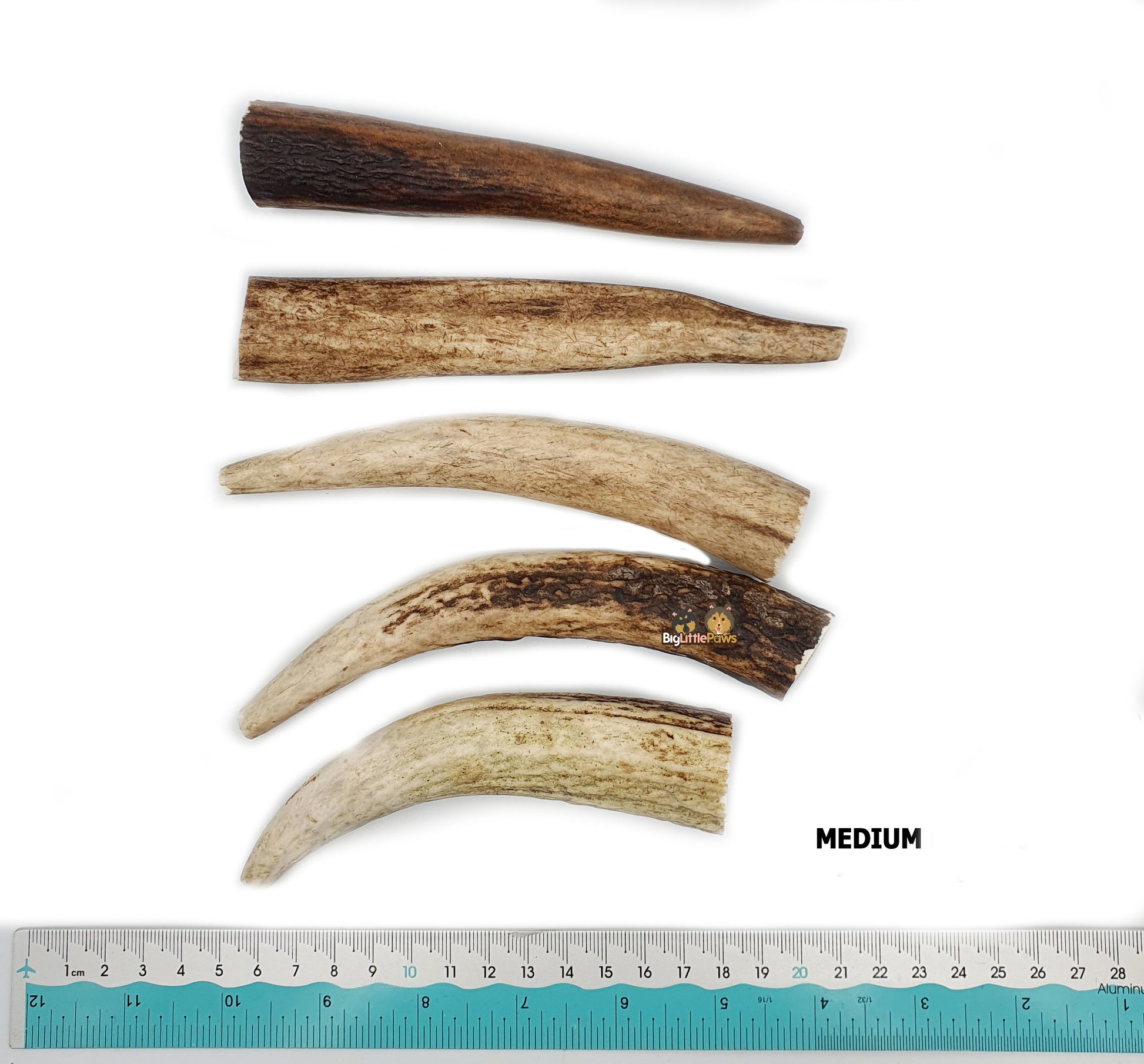 Red Deer Antler Dog Chew- Big Little Paws Singapore