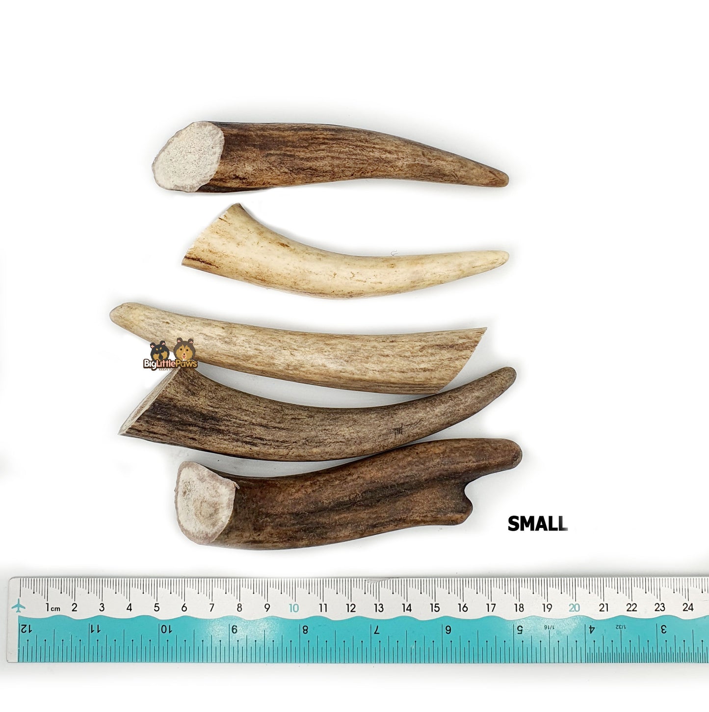 Red Deer Antler Dog Chew- Big Little Paws Singapore