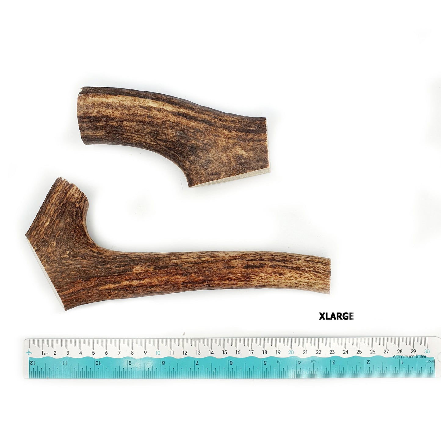 Red Deer Antler Dog Chew- Big Little Paws Singapore