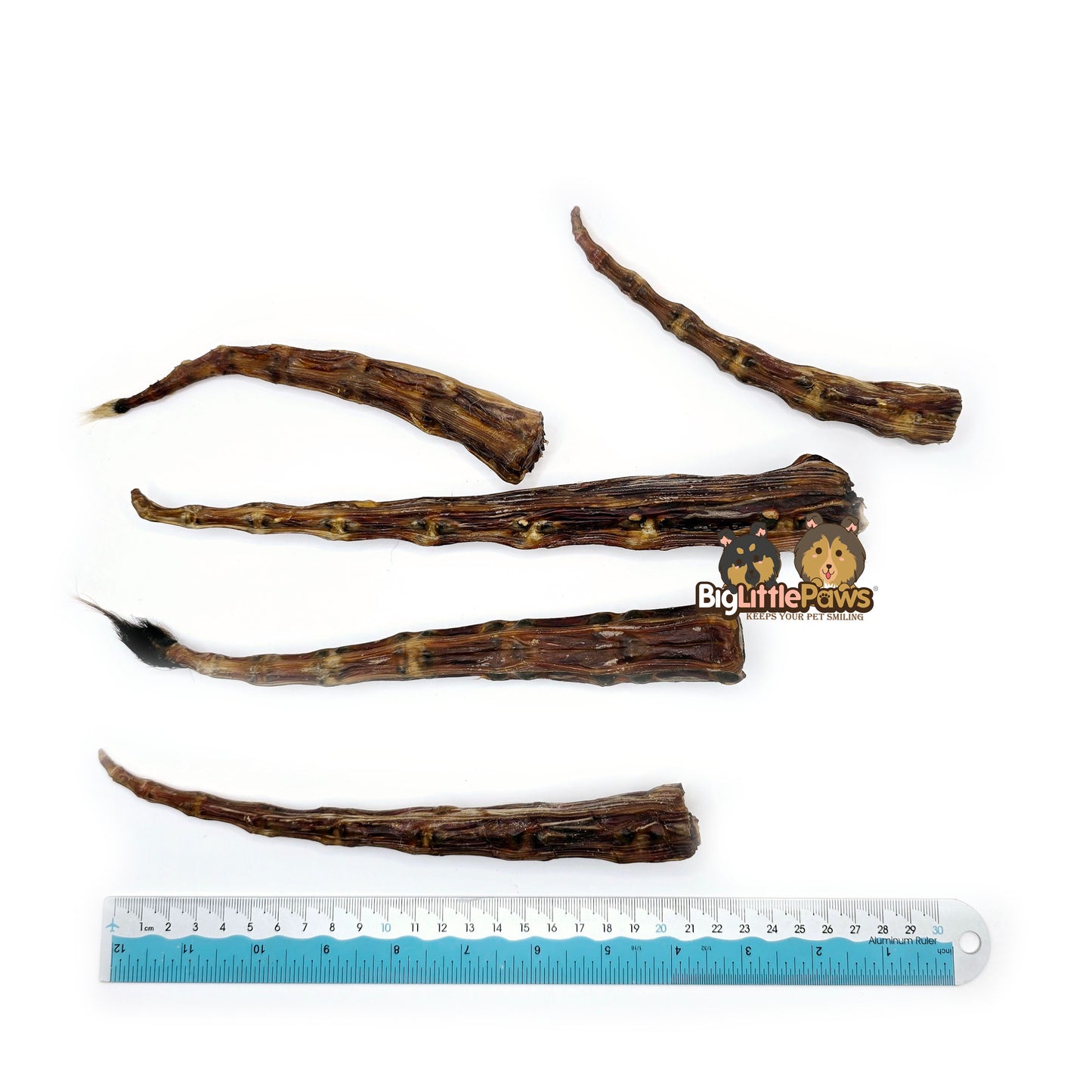 Kangaroo Tail Tips (Big Little Paws Singapore Dog Treats)