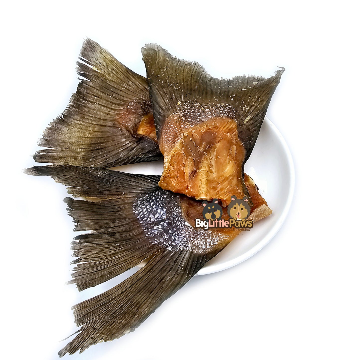 Salmon Tails- Big Little Paws Singapore Dog Treats
