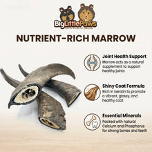 Load image into Gallery viewer, Goat Horn With Marrow