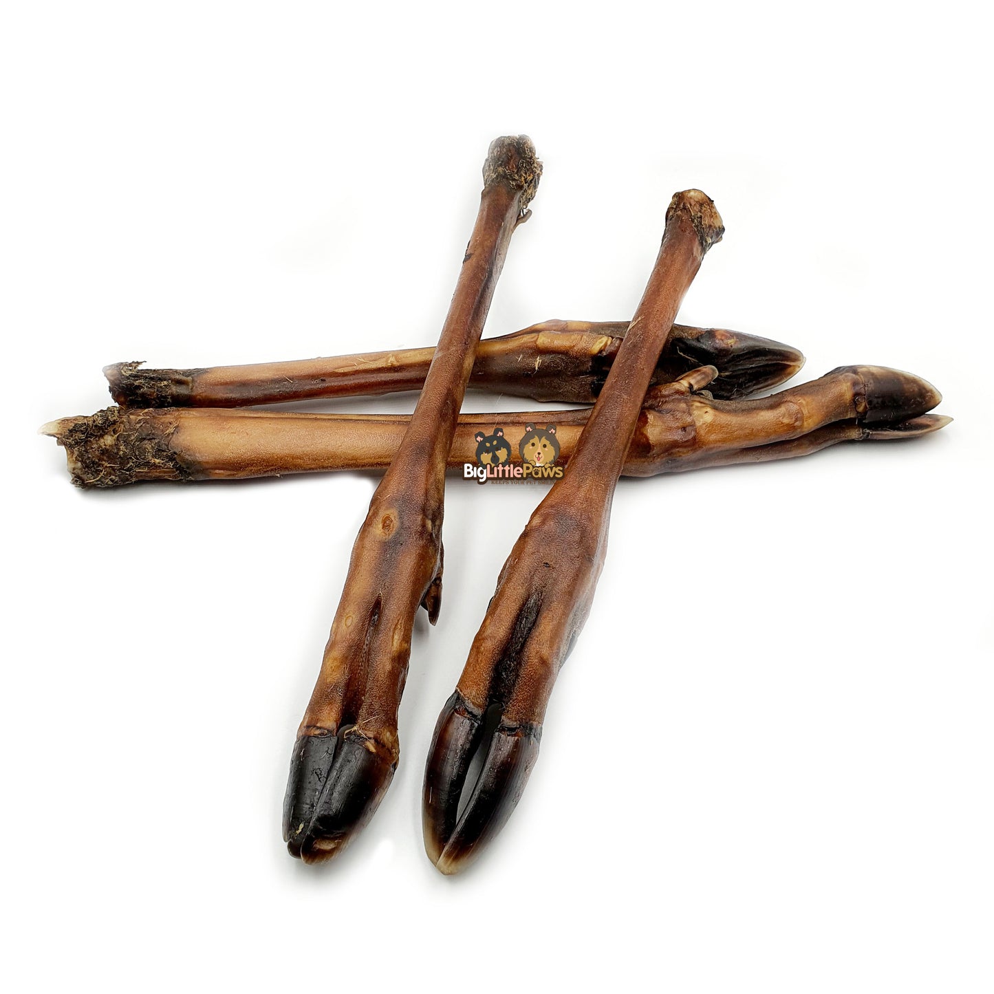 Roe Deer Leg Dog Treat/ Dog Chew