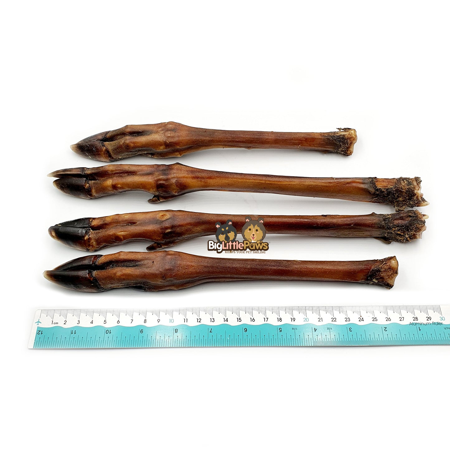 Roe Deer Leg Dog Treat/ Dog Chew