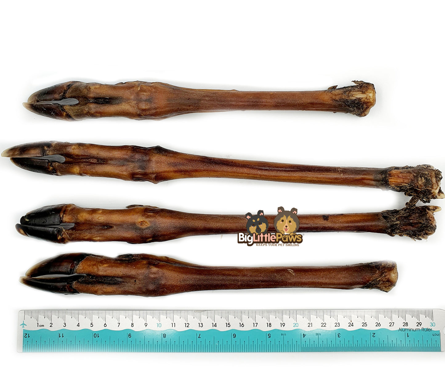 Roe Deer Leg Dog Treat/ Dog Chew