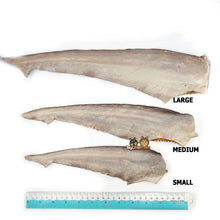 Load image into Gallery viewer, Shark Tail Dog Treats