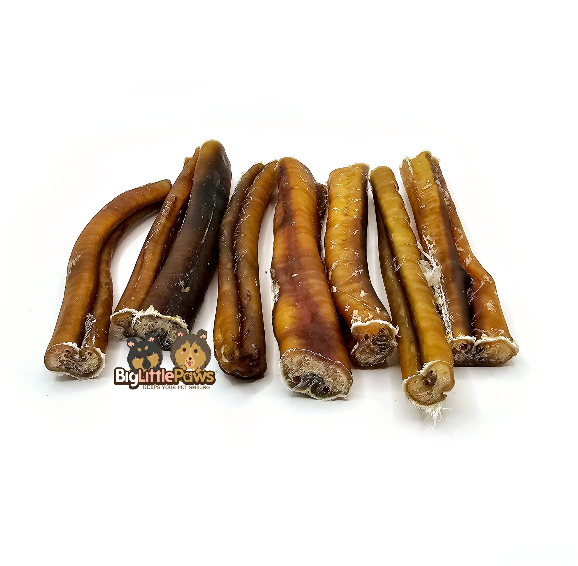 Bully Stick (Big Little Paws Singapore Dog Treats)