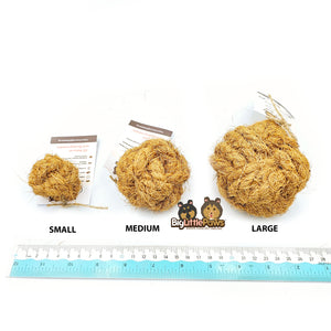 Coconut Ball (Big Little Paws Singapore)