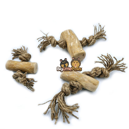 Coffee Wood with Rope Chew Toy (Big Little Paws Singapore)