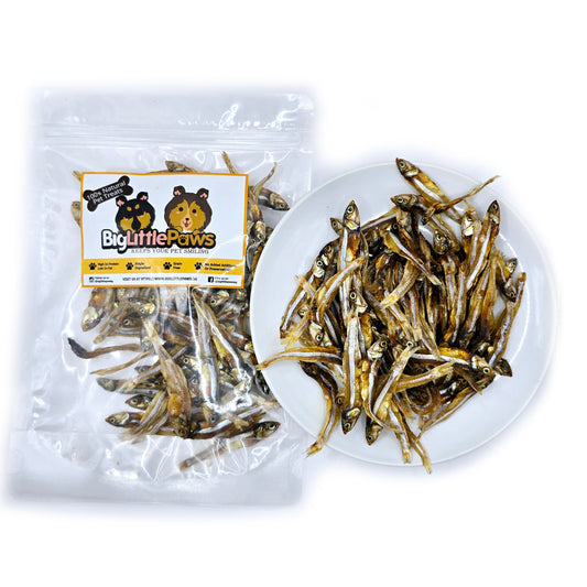Dried Anchovies- Big Little Paws Singapore Dog Treats