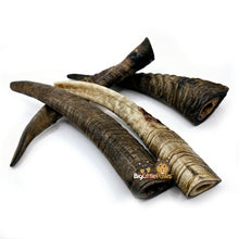 Load image into Gallery viewer, Goat Horn with Marrow (Big Little Paws Singapore Dog Treats)
