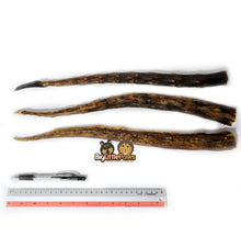 Load image into Gallery viewer, Jumbo Kangaroo Tail (45cm)- Big Little Paws Singapore Dog Treats/ Chews
