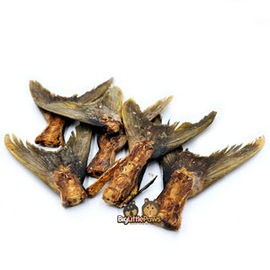 Spanish Mackerel Large Fish Tails- Big Little Paws Singapore Dog Treats