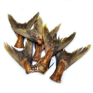 Spanish Mackerel Large Fish Tails- Big Little Paws Singapore Dog Treats