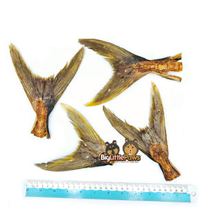 Spanish Mackerel Large Fish Tails- Big Little Paws Singapore Dog Treats