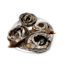Load image into Gallery viewer, Mackerel Scrolls- Big Little Paws Singapore Dog Treats
