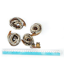 Load image into Gallery viewer, Mackerel Scrolls- Big Little Paws Singapore Dog Treats
