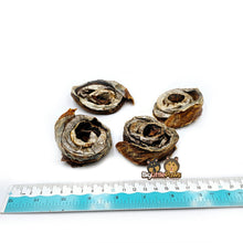 Load image into Gallery viewer, Mackerel Scrolls- Big Little Paws Singapore Dog Treats
