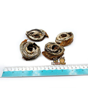 Mackerel Scrolls- Big Little Paws Singapore Dog Treats