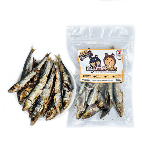 Pilchards- Big Little Paws Singapore Dog Treats
