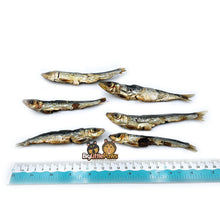 Load image into Gallery viewer, Pilchards- Big Little Paws Singapore Dog Treats
