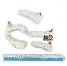Load image into Gallery viewer, Rabbit Feet with Hair dog treats (Big Little Paws Singapore)
