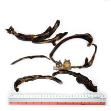 Load image into Gallery viewer, Kangaroo Rib Sticks- Big Little Paws Singapore Dog Treats
