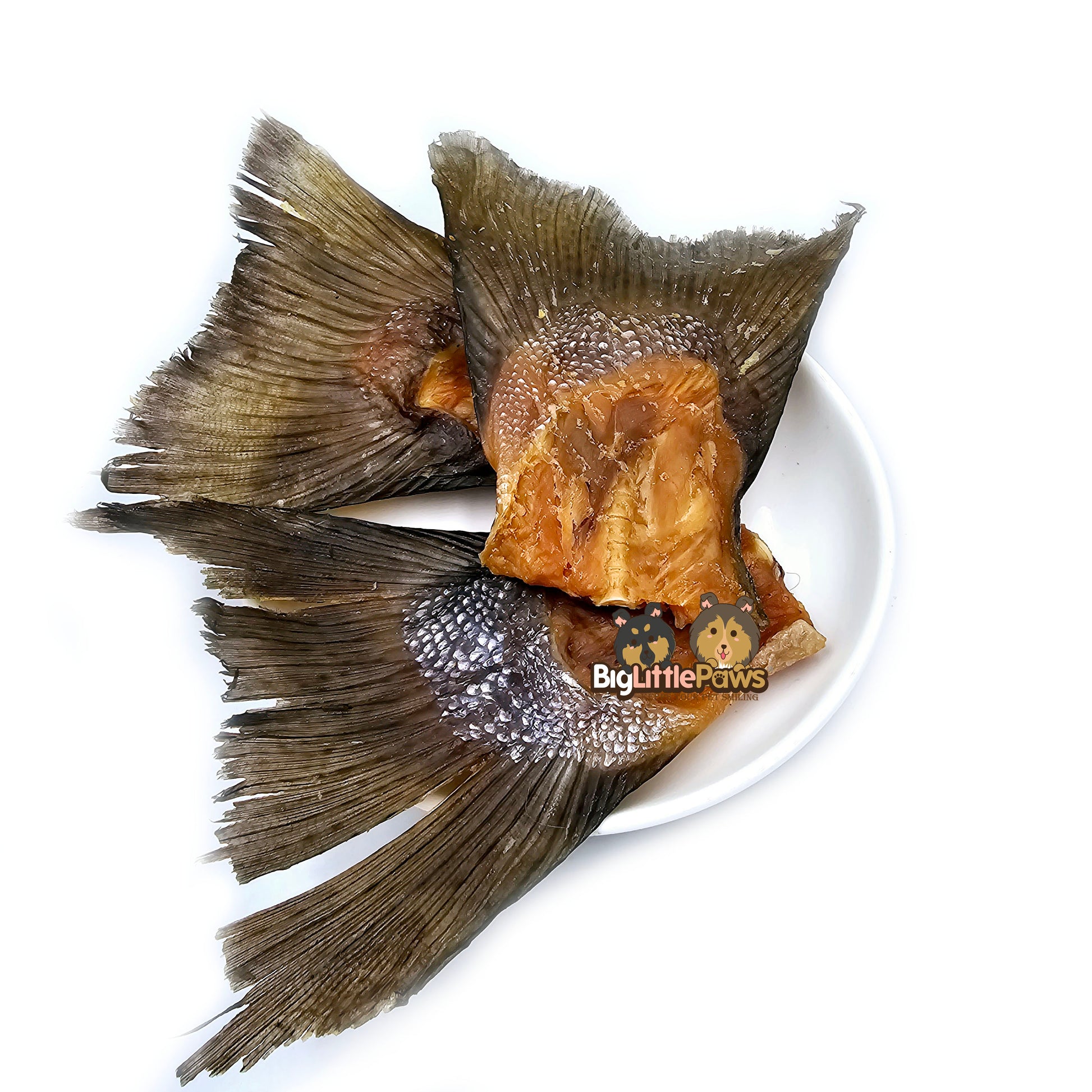 Salmon Tails- Big Little Paws Singapore Dog Treats