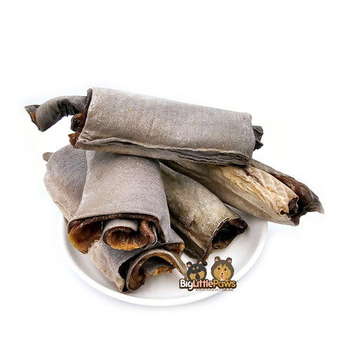 Shark Skin Dental Rolls- Big Little Paws Singapore Dog Treats