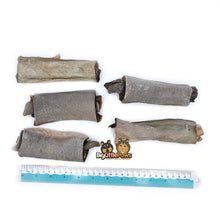 Load image into Gallery viewer, Shark Skin Dental Rolls- Big Little Paws Singapore Dog Treats
