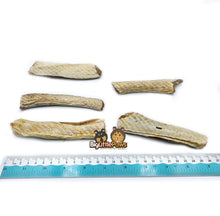Load image into Gallery viewer, Shark Skin Dental Strips- Big Little Paws Singapore Dog Treats
