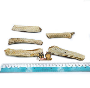 Shark Skin Dental Strips- Big Little Paws Singapore Dog Treats