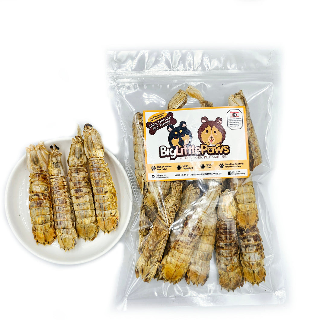 Whole Mantis Shrimp- Big Little Paws Singapore Dog Treats