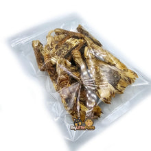 Load image into Gallery viewer, Whole Mantis Shrimp- Big Little Paws Singapore Dog Treats
