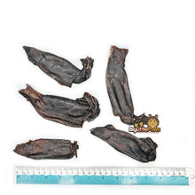Load image into Gallery viewer, Whole Squid- Big Little Paws Singapore Dog Treats
