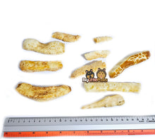Load image into Gallery viewer, Yak Cheese Fries (Big Little Paws Singapore Dog Treats)
