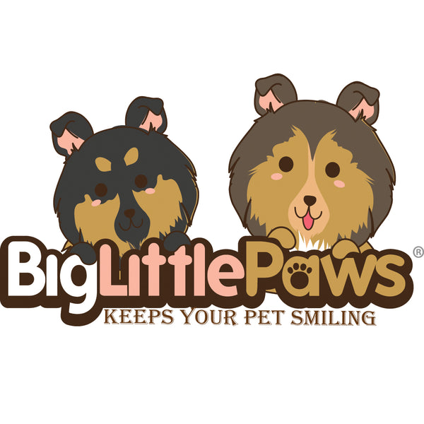 Big Little Paws Singapore